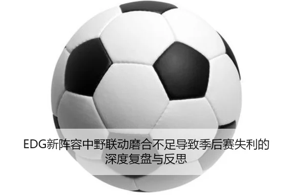EDG新阵容中野联动磨合不足导致季后赛失利的深度复盘与反思（leyu）